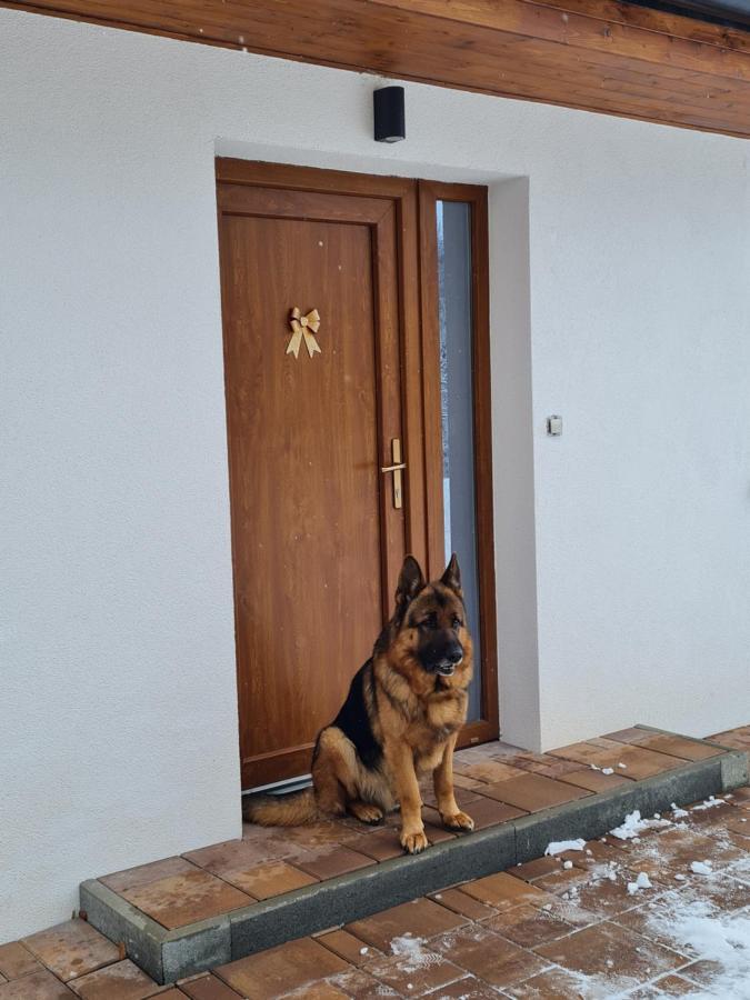 Apartmany Bystra-Chopok Brezno Zewnętrze zdjęcie